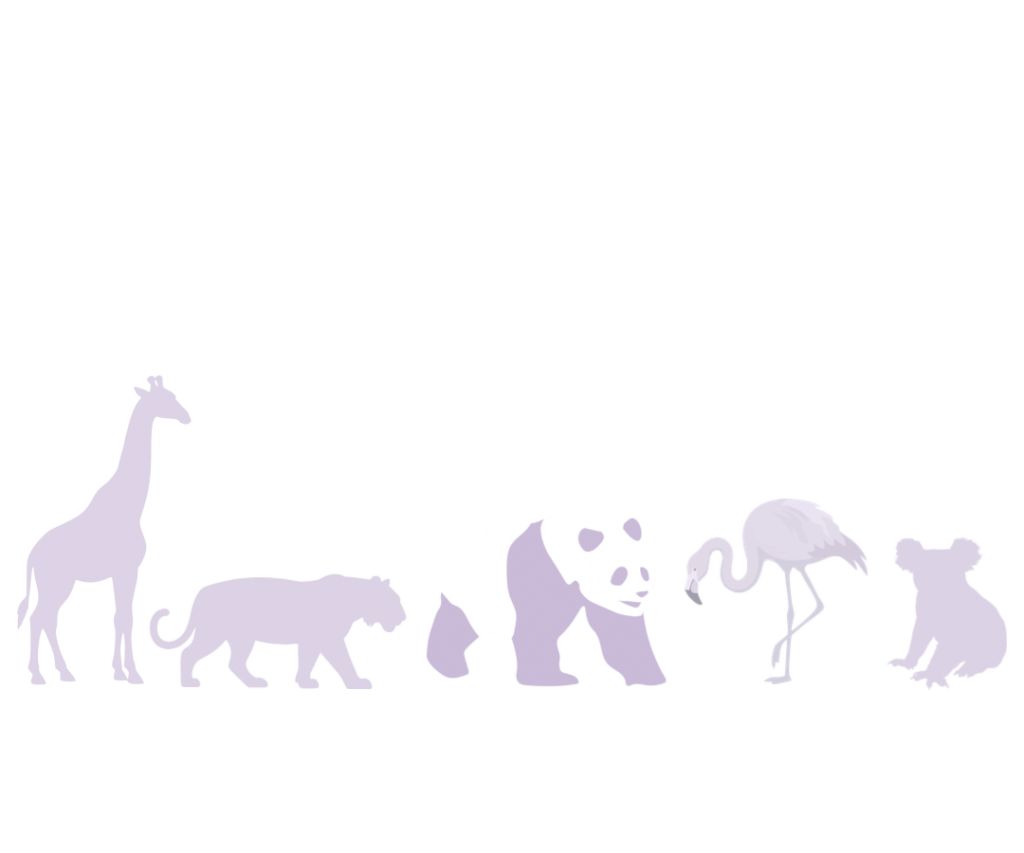 Soul Sessions: Creating Space for Calm and Clarity